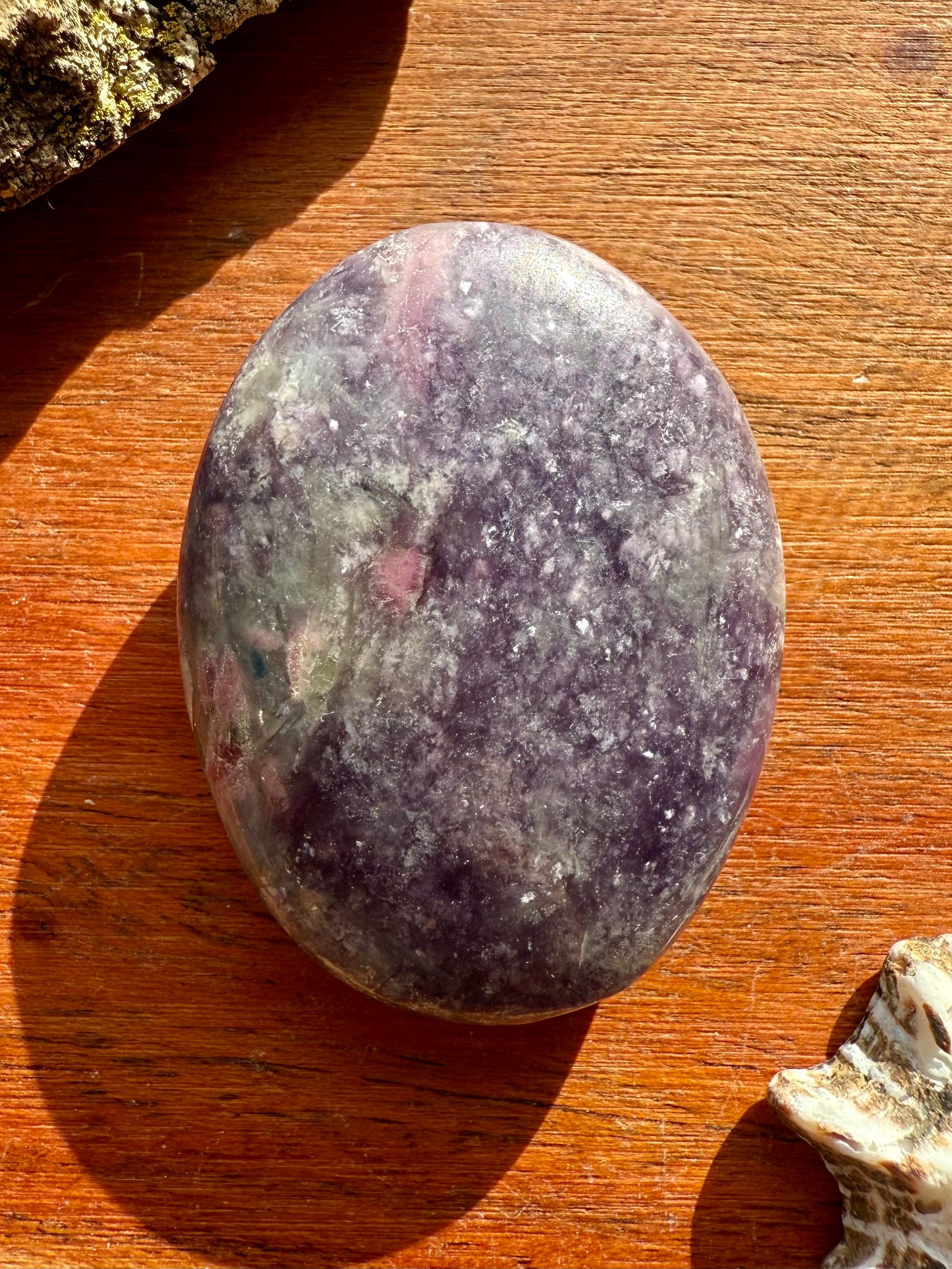 UNICORN STONE PALM STONE
