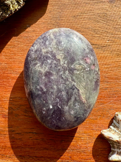 UNICORN STONE PALM STONE