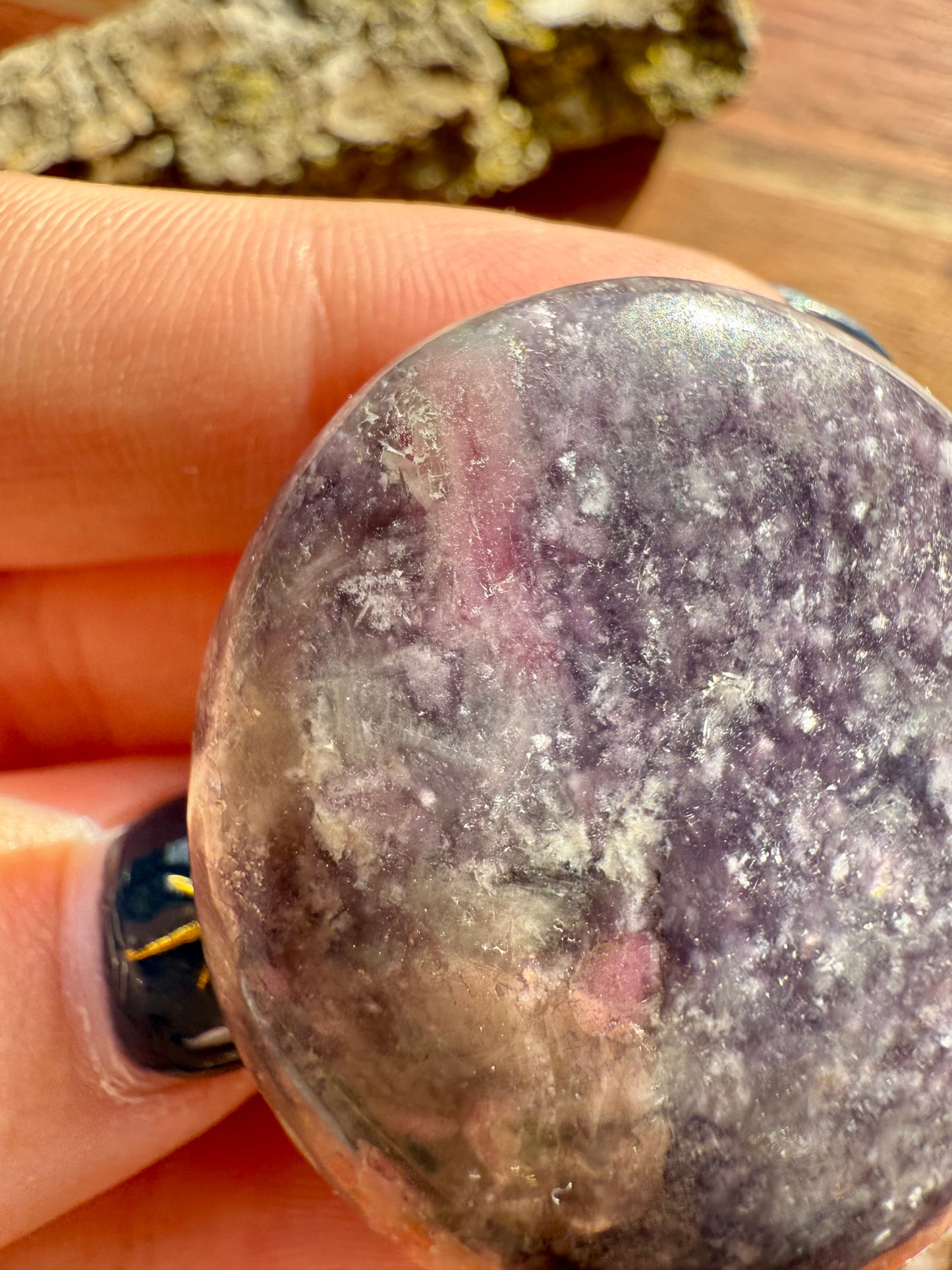 UNICORN STONE PALM STONE