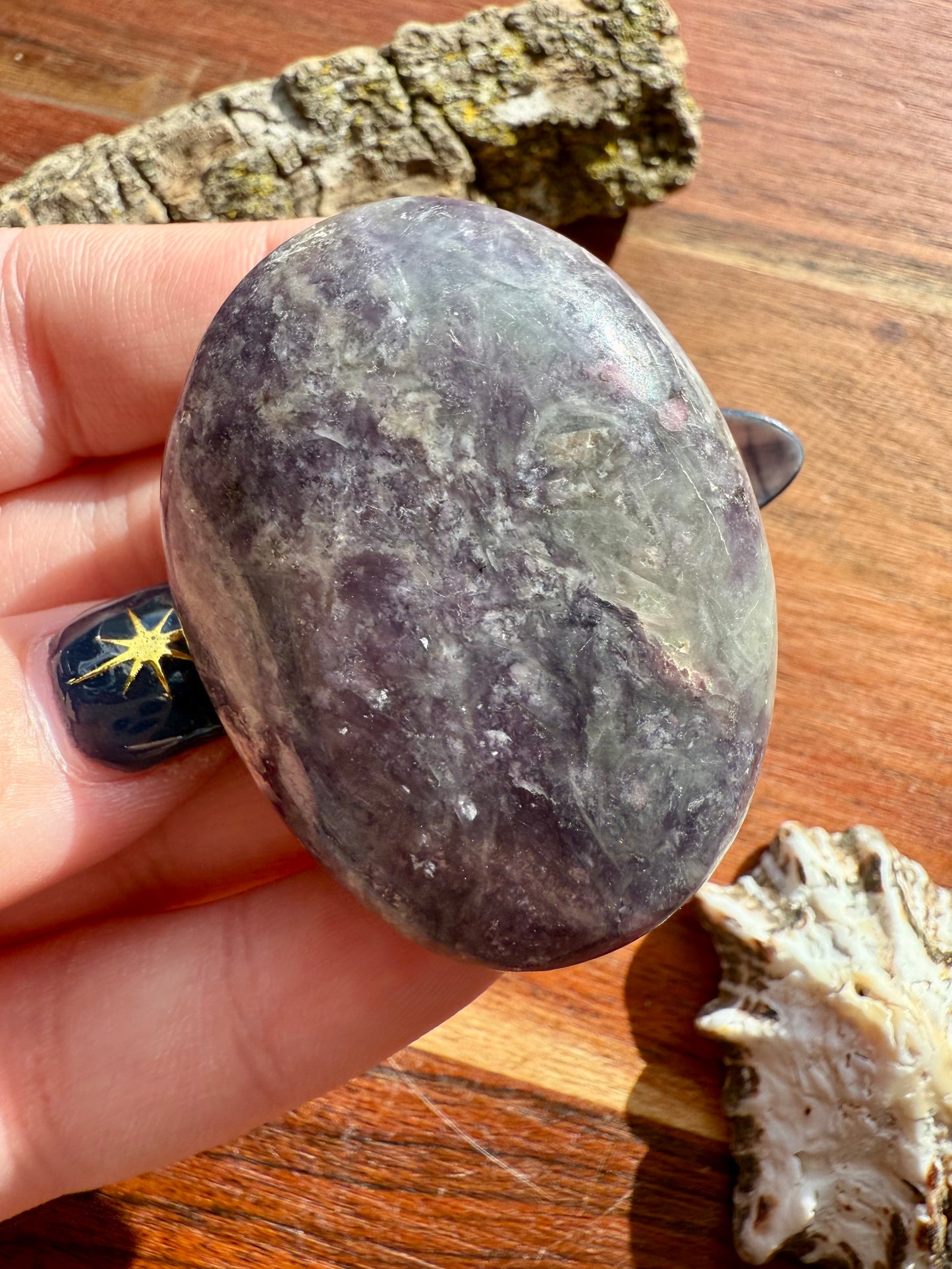 UNICORN STONE PALM STONE