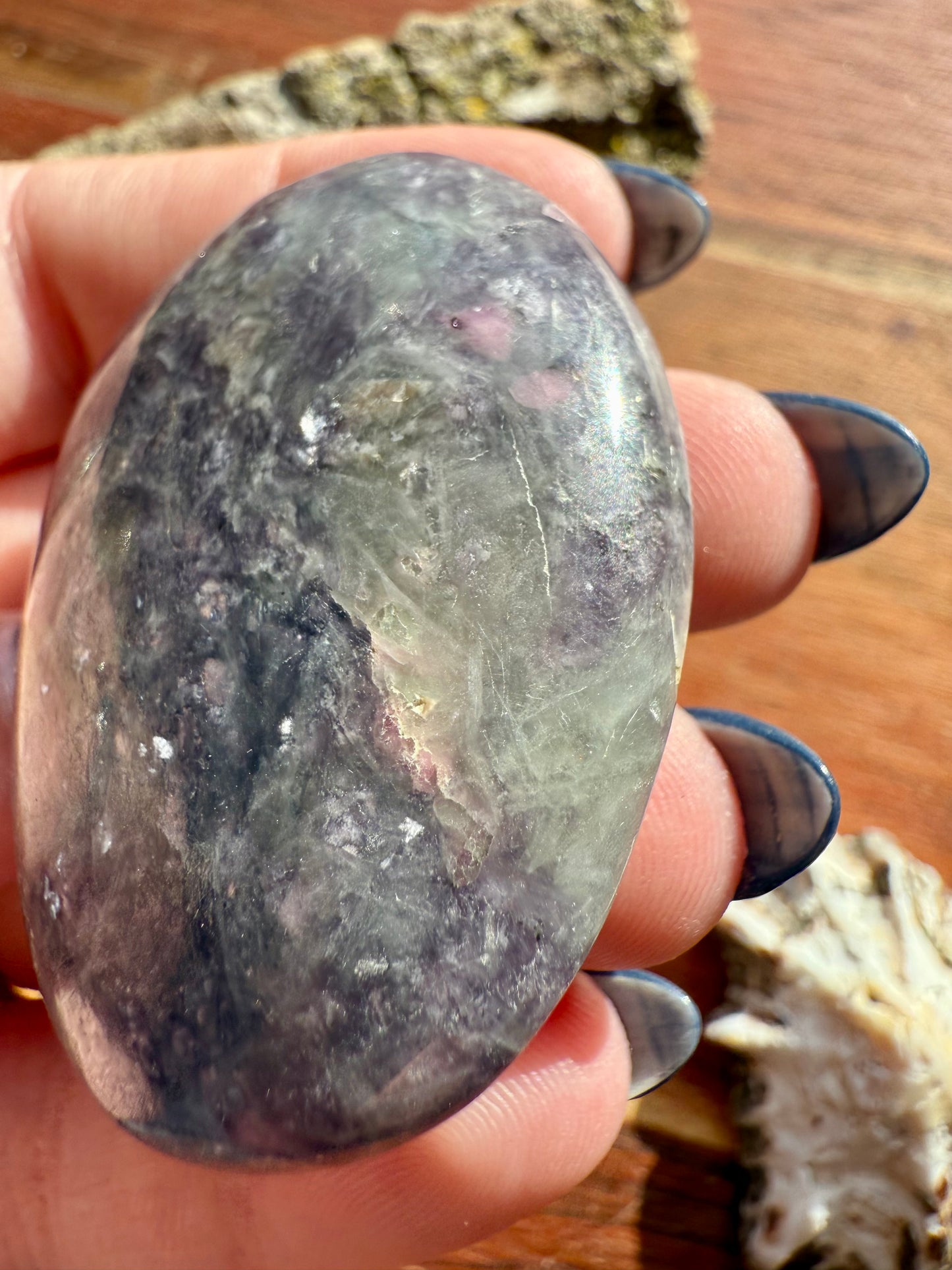 UNICORN STONE PALM STONE