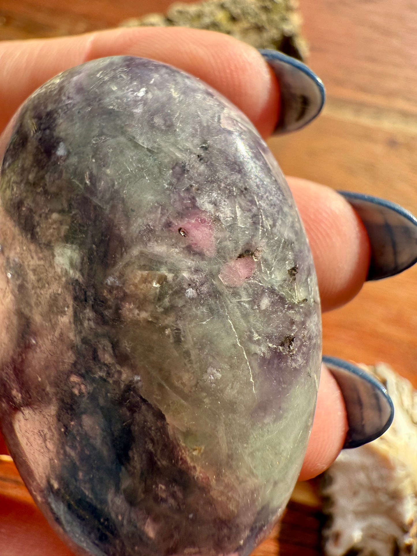 UNICORN STONE PALM STONE