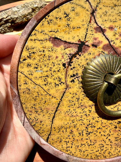 ROUND PICTURE JASPER BOX WITH BRASS DETAIL