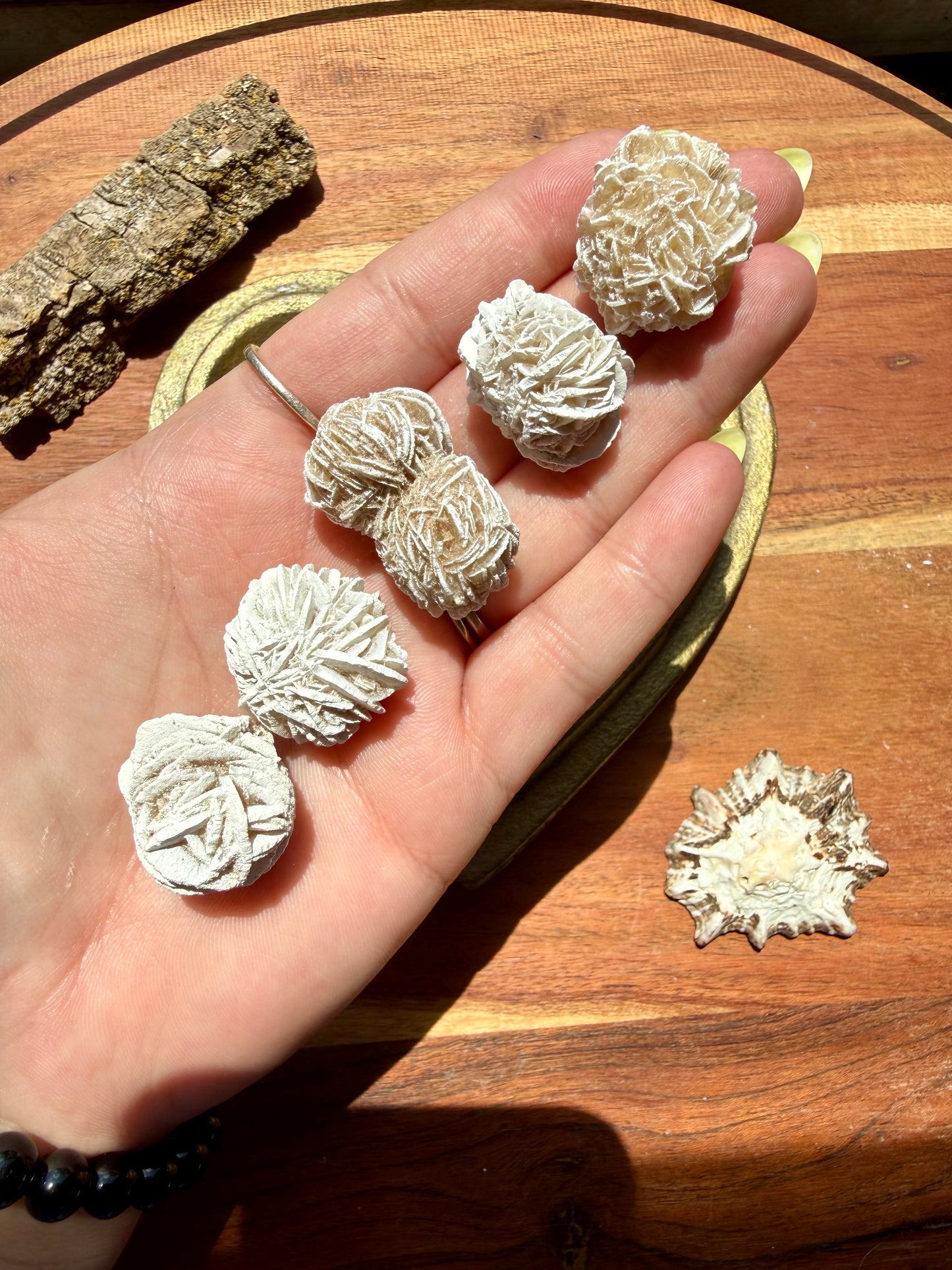 DESERT ROSE SELENITE