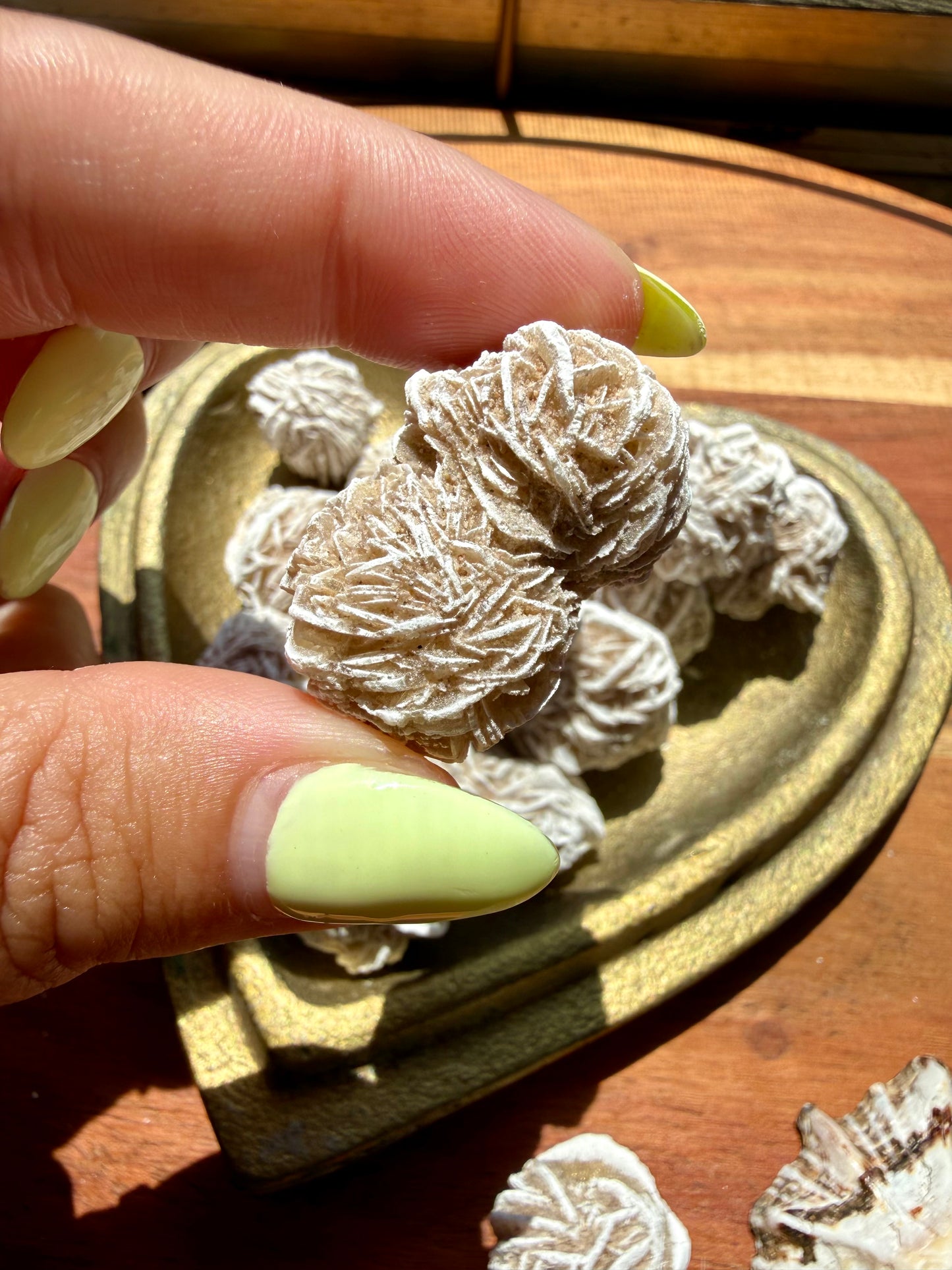 DESERT ROSE SELENITE