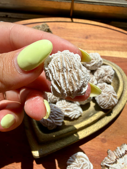 DESERT ROSE SELENITE