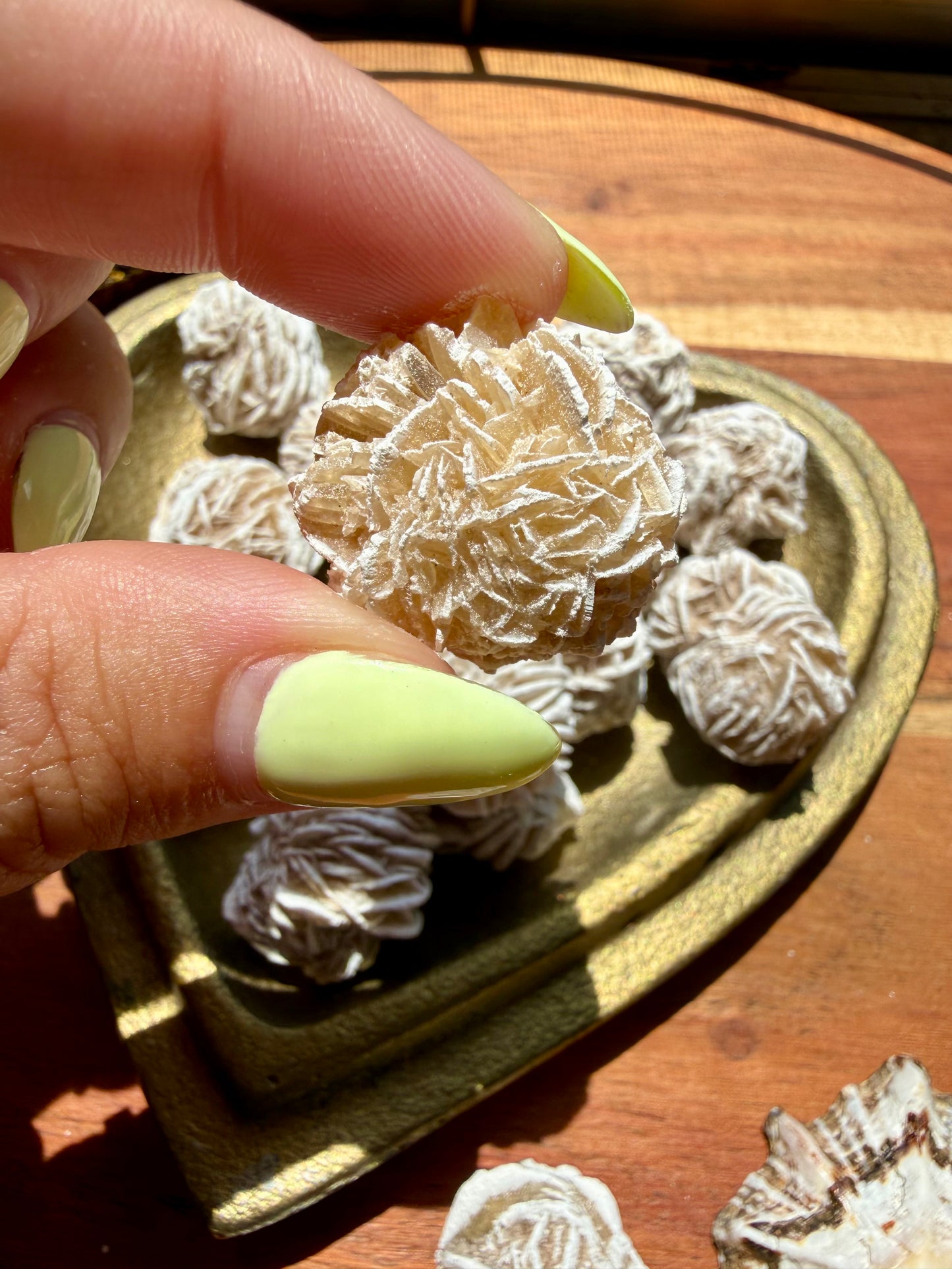 DESERT ROSE SELENITE