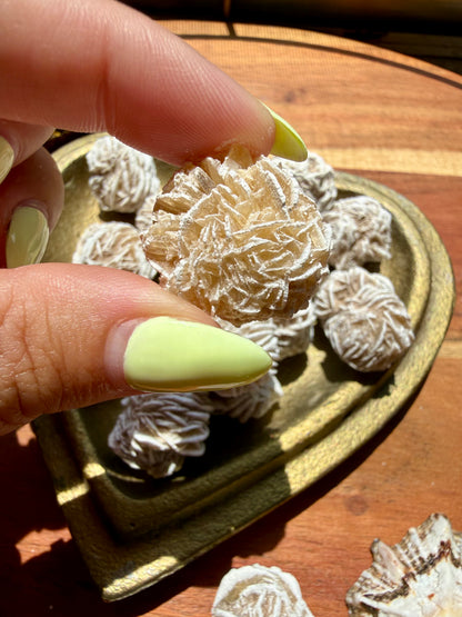 DESERT ROSE SELENITE