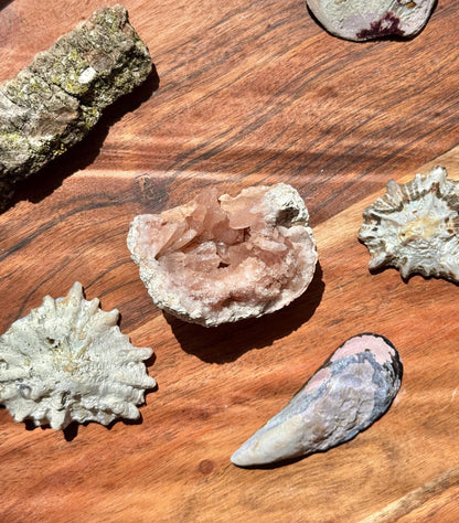 Pink Amethyst Cluster || Pink Amethyst Geode || Pink Amethyst || Raw Crystal Cluster || Crystal Geode || Pink Crystal || Crystal Lover Gift