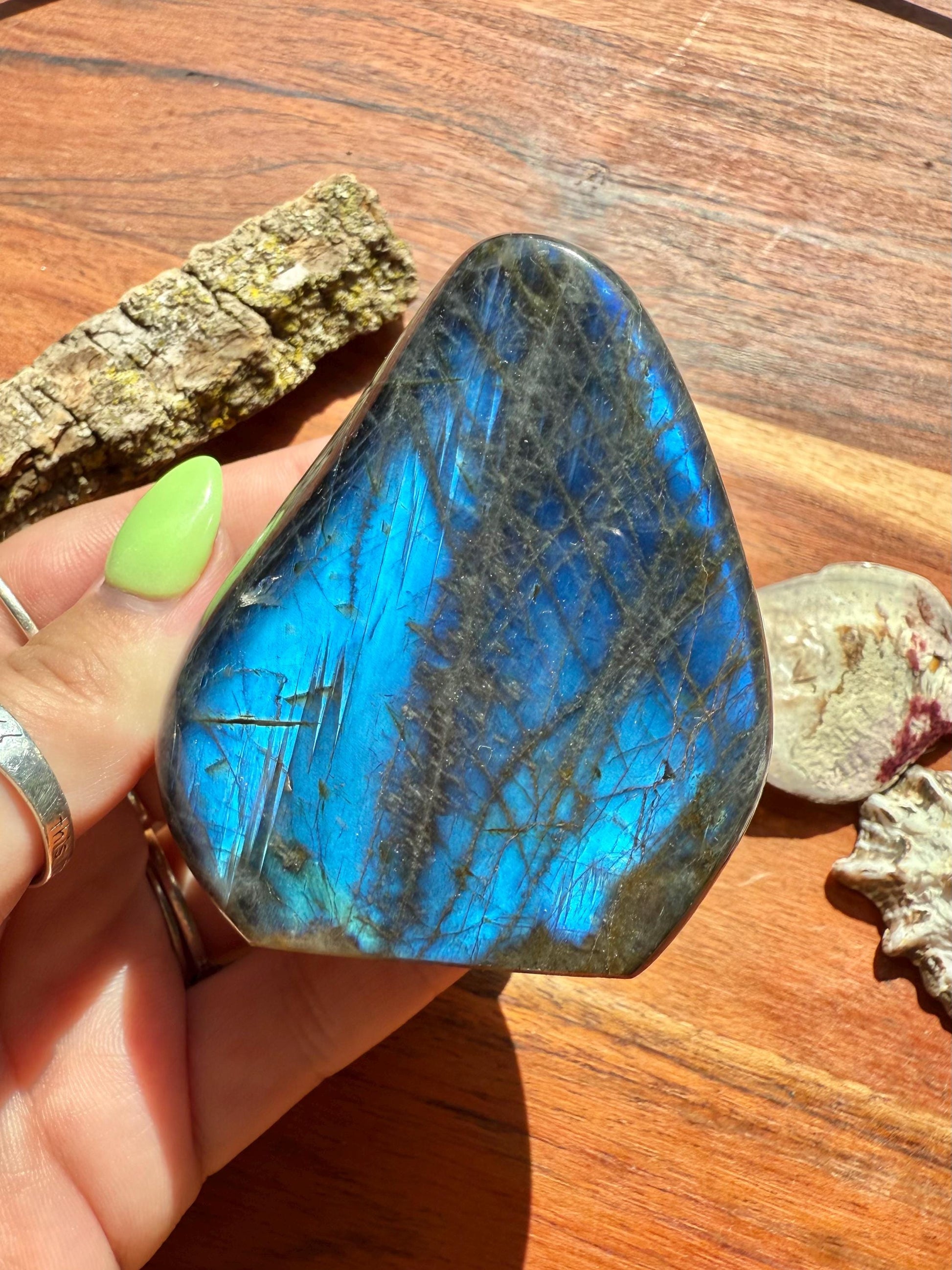 Blue Flash Labradorite Freeform