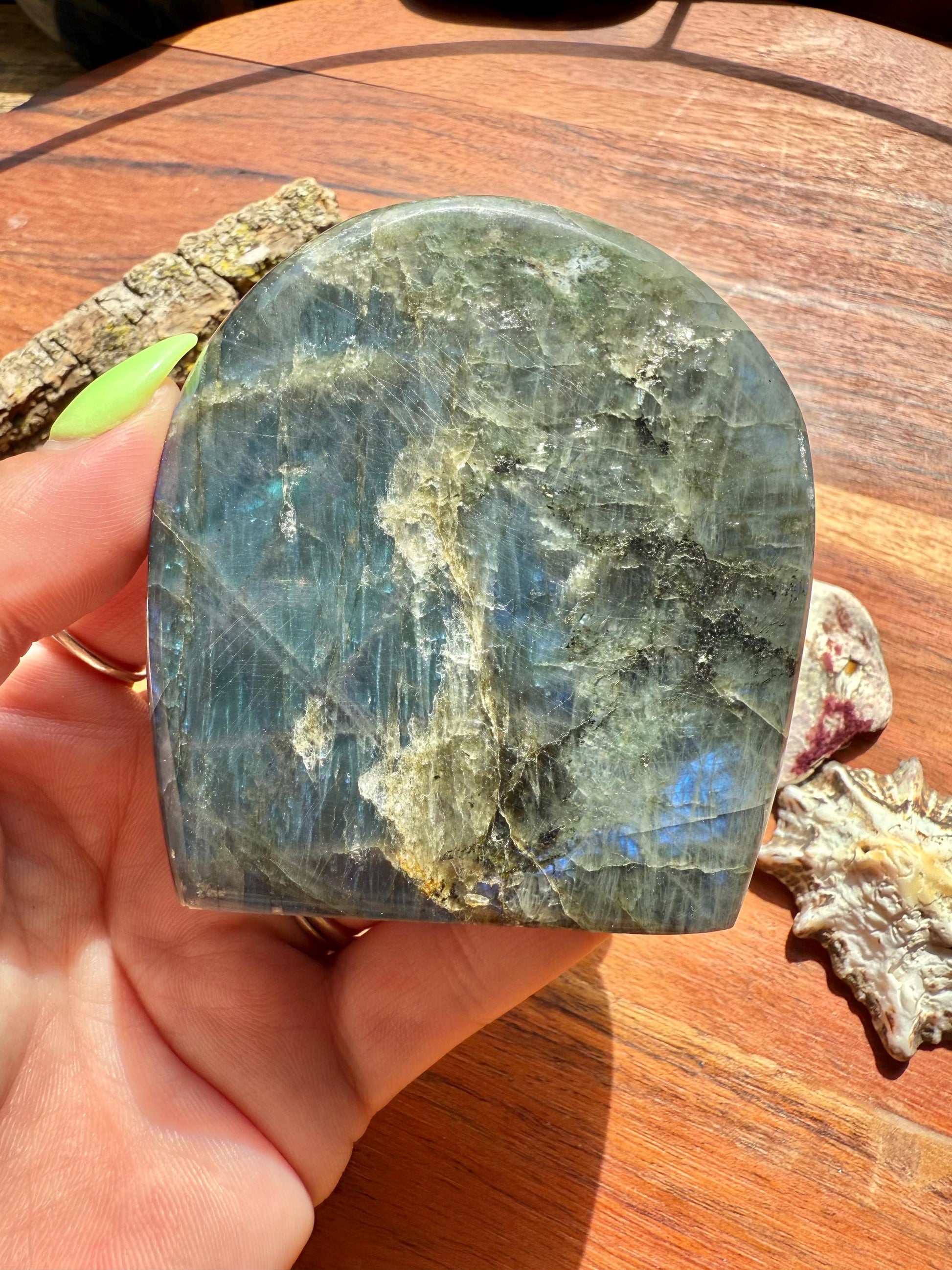 Blue Flash Labradorite Freeform