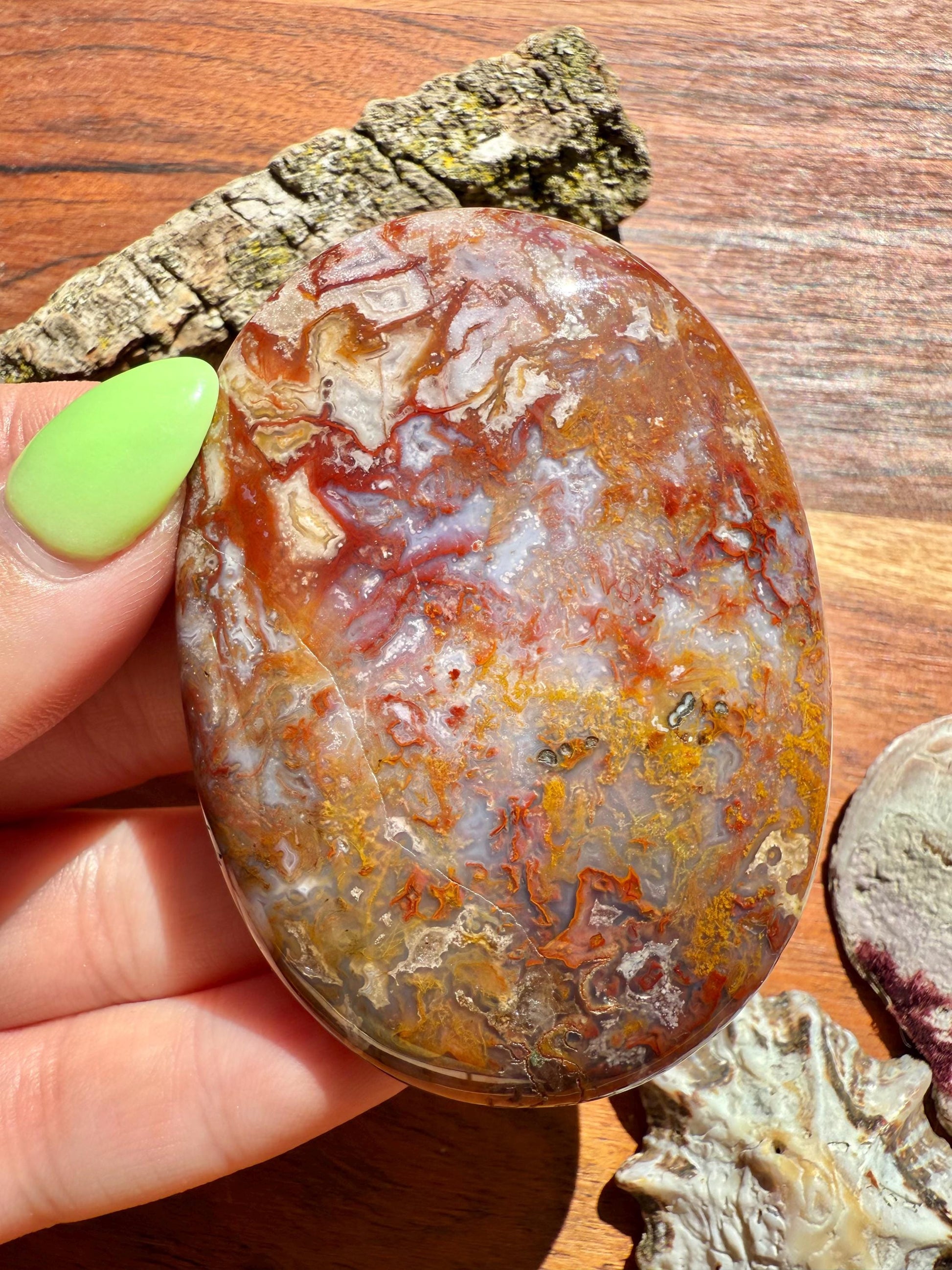 High Quality Agua Nueva Agate Palm Stone | Gift for Crystal Lover | Soothing Crystal | Grounding Crystal | Crystal Gift