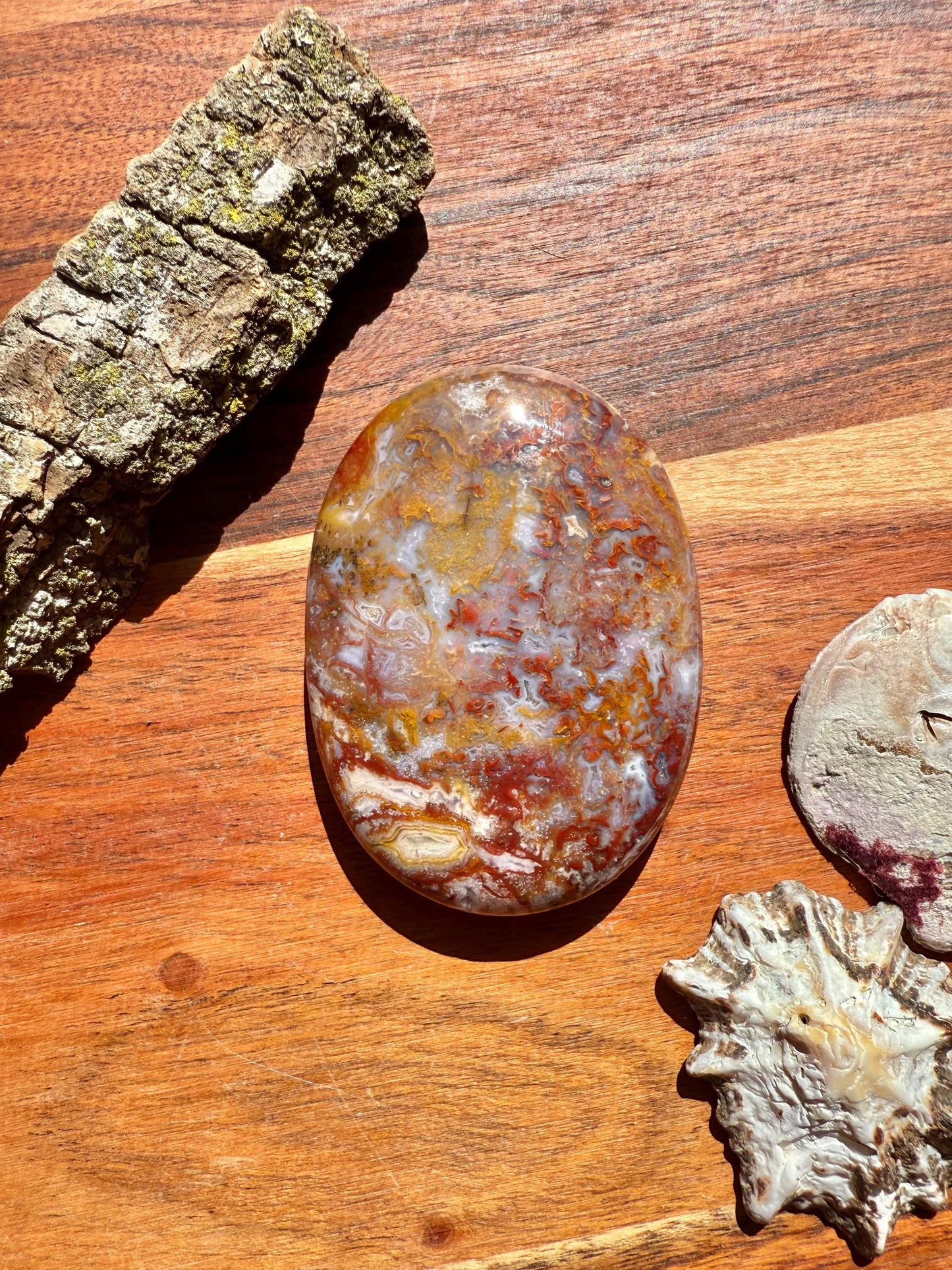 High Quality Agua Nueva Agate Palm Stone | Gift for Crystal Lover | Soothing Crystal | Grounding Crystal | Crystal Gift