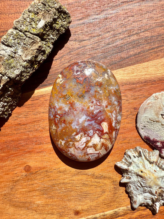 High Quality Agua Nueva Agate Palm Stone | Gift for Crystal Lover | Soothing Crystal | Grounding Crystal | Crystal Gift