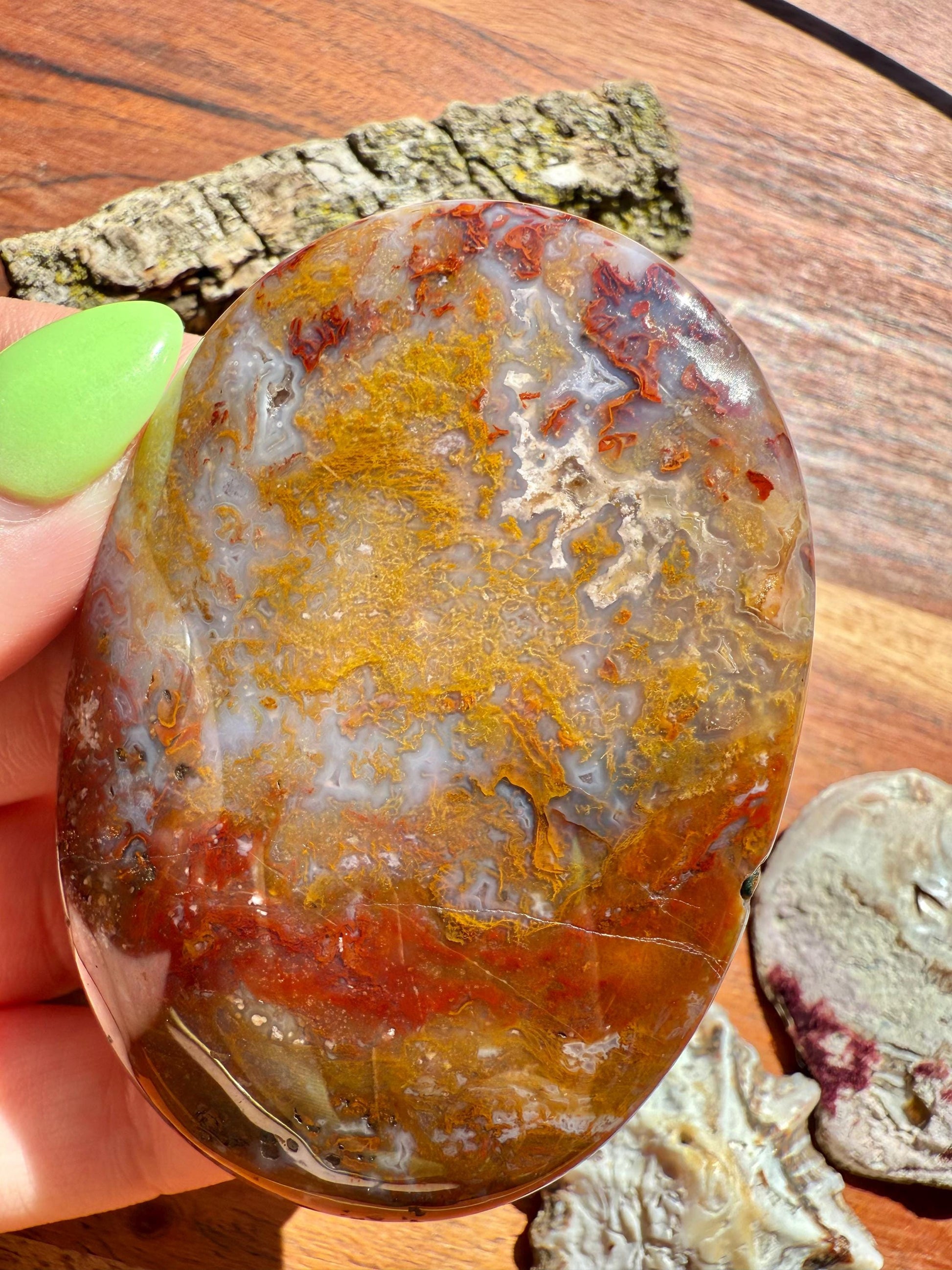 High Quality Agua Nueva Agate Palm Stone | Gift for Crystal Lover | Soothing Crystal | Grounding Crystal | Crystal Gift