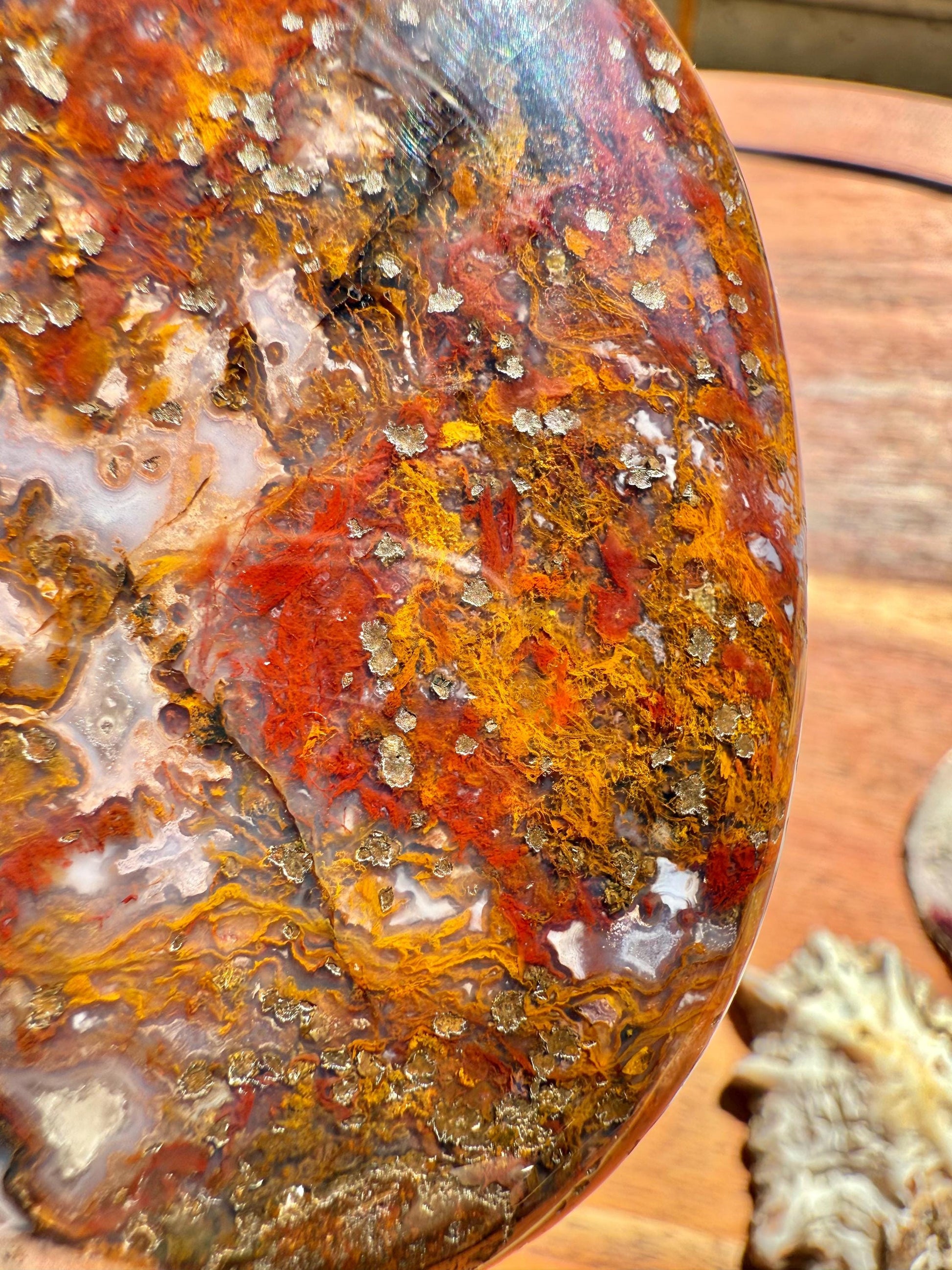 High Quality Agua Nueva Agate Palm Stone | Gift for Crystal Lover | Soothing Crystal | Grounding Crystal | Crystal Gift