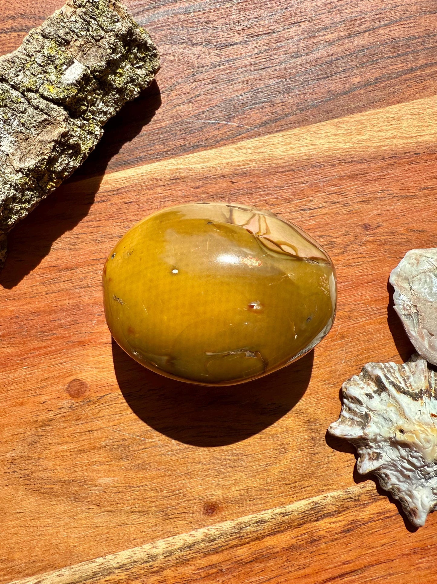 Polychrome Jasper Palm Stone || Polychrome Jasper Crystal Palm Stone || Gift for Crystal Lover || Desert Jasper Palm Stone || Crystal Gift
