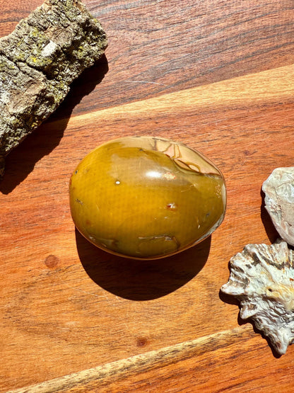 Polychrome Jasper Palm Stone || Polychrome Jasper Crystal Palm Stone || Gift for Crystal Lover || Desert Jasper Palm Stone || Crystal Gift