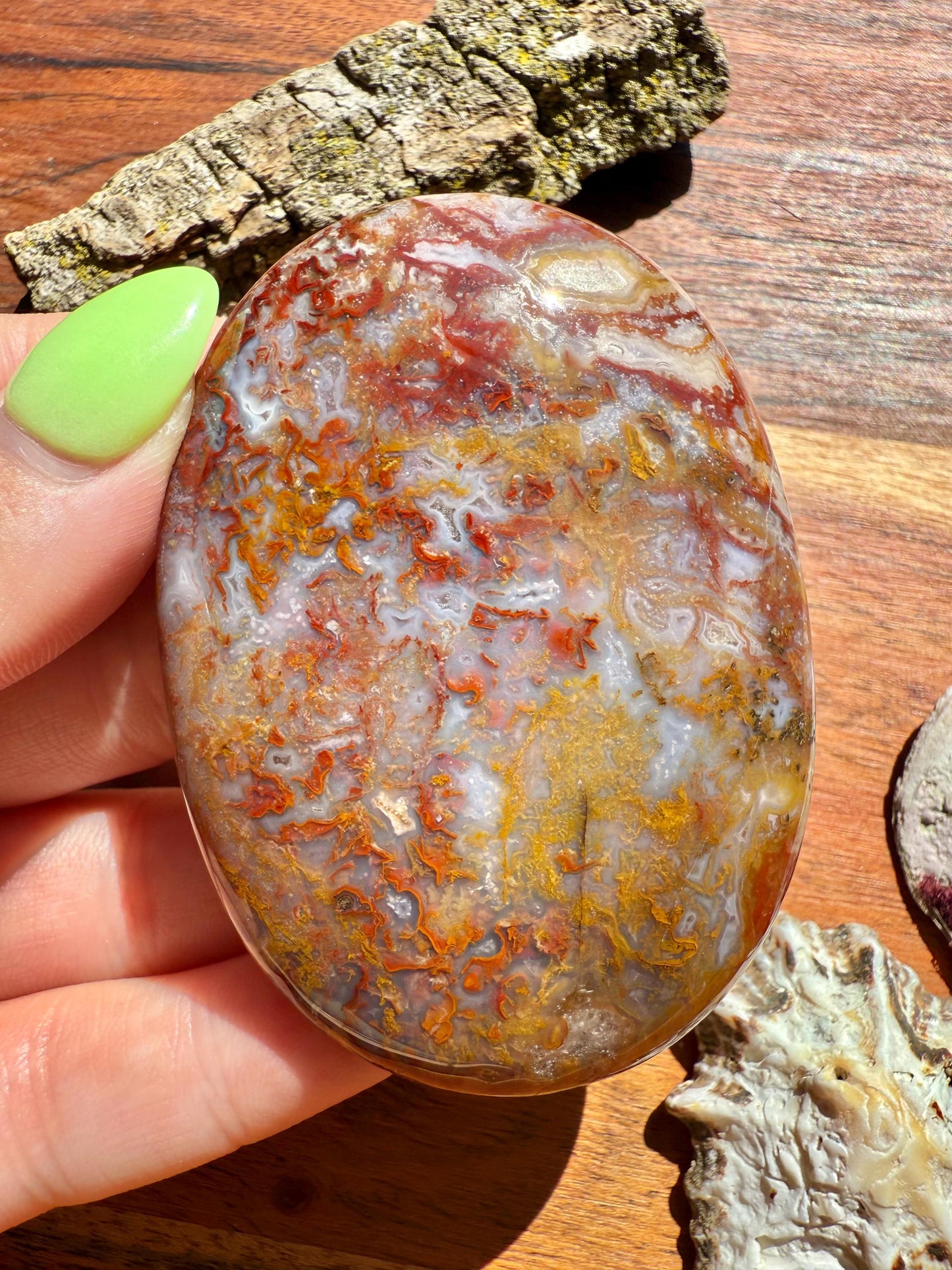 High Quality Agua Nueva Agate Palm Stone | Gift for Crystal Lover | Soothing Crystal | Grounding Crystal | Crystal Gift