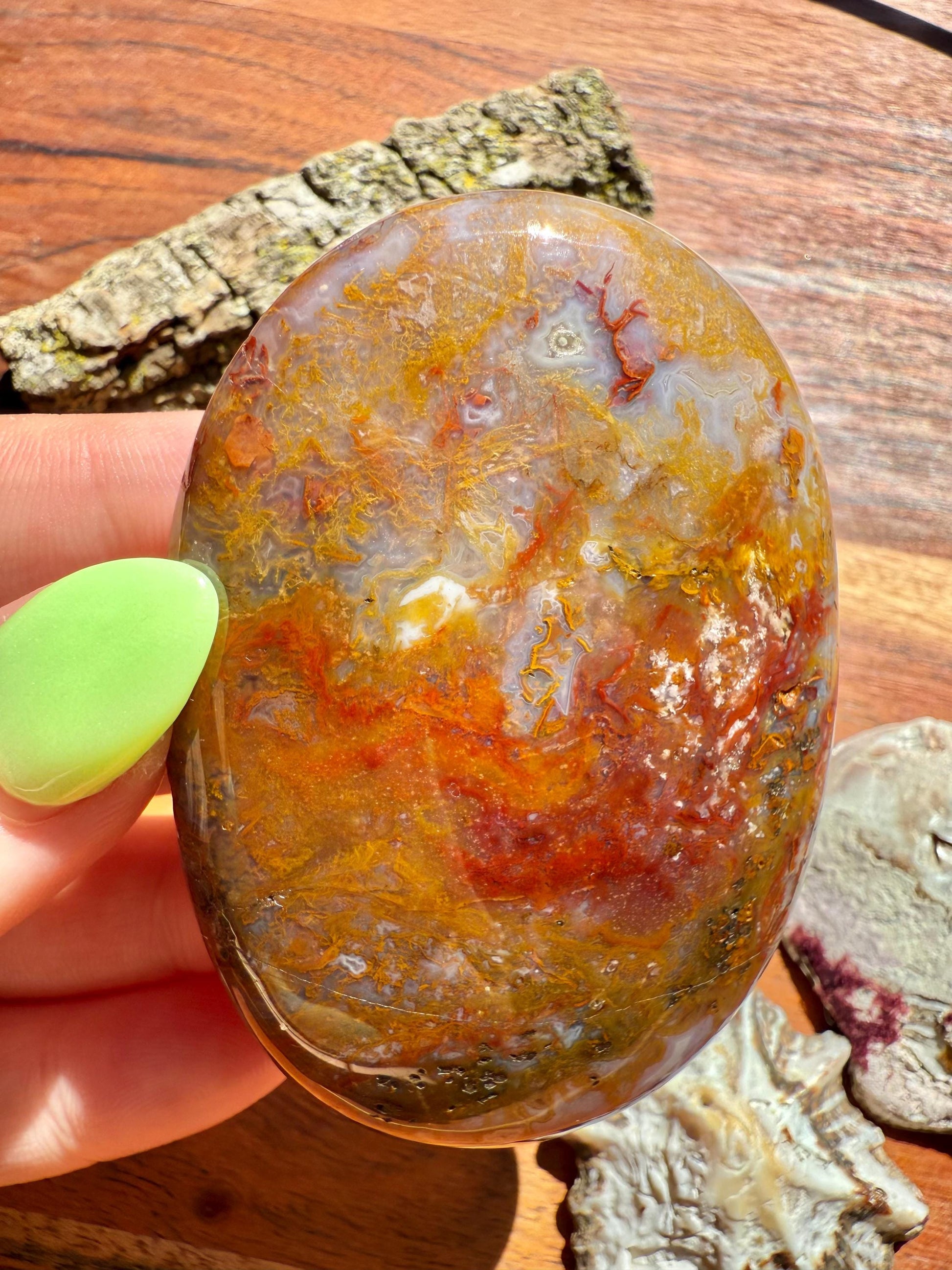 High Quality Agua Nueva Agate Palm Stone | Gift for Crystal Lover | Soothing Crystal | Grounding Crystal | Crystal Gift