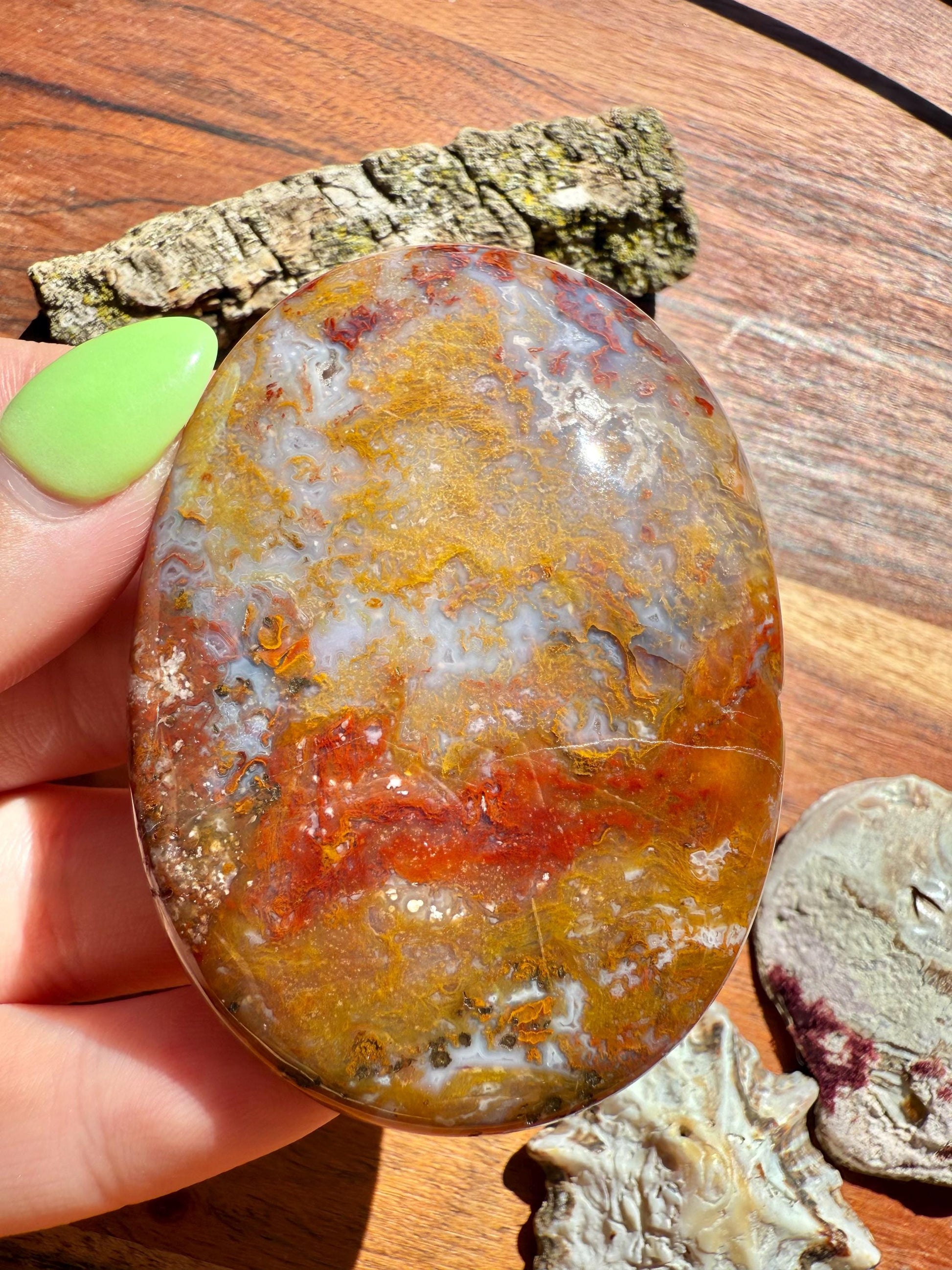 High Quality Agua Nueva Agate Palm Stone | Gift for Crystal Lover | Soothing Crystal | Grounding Crystal | Crystal Gift
