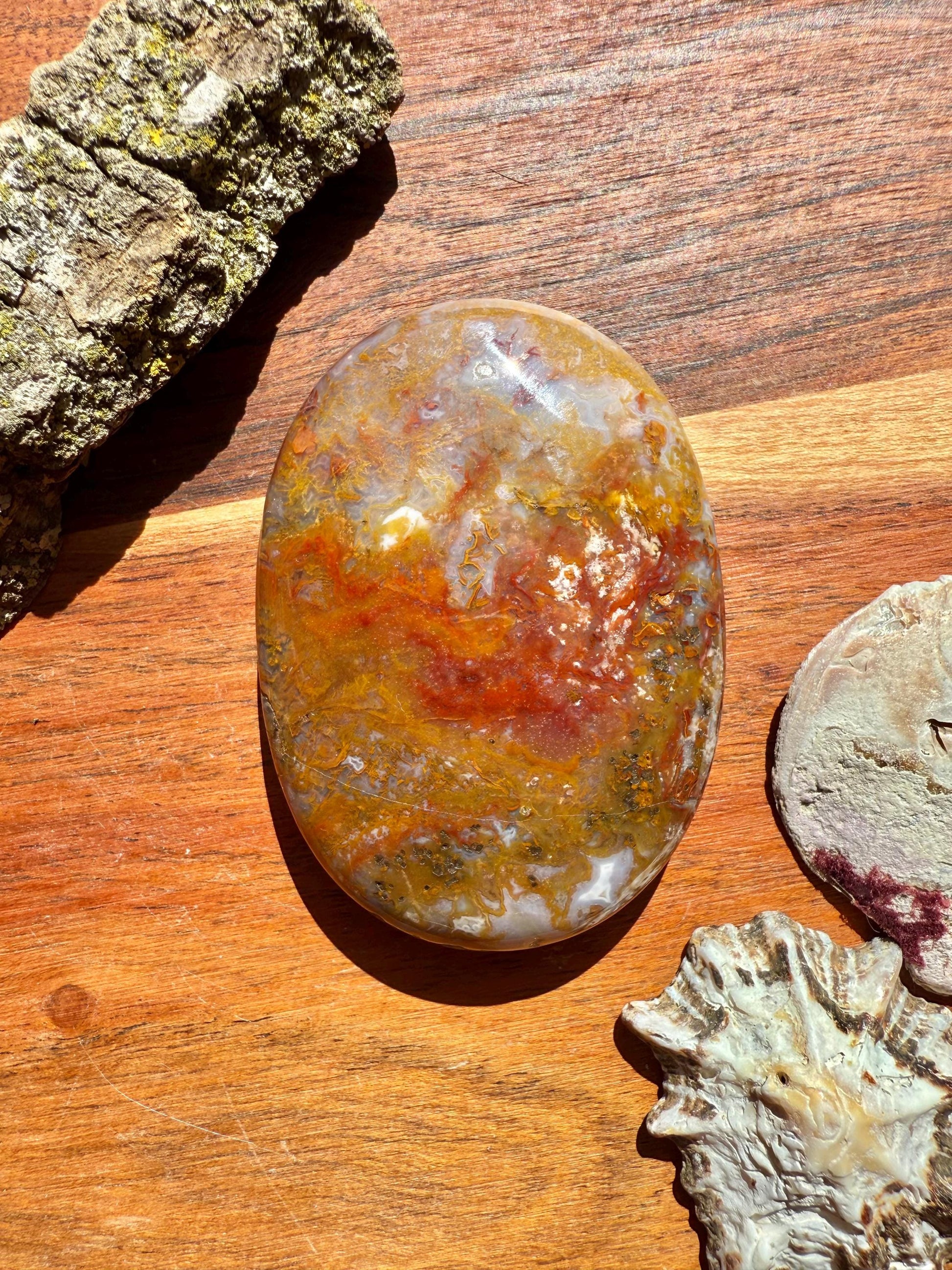 High Quality Agua Nueva Agate Palm Stone | Gift for Crystal Lover | Soothing Crystal | Grounding Crystal | Crystal Gift