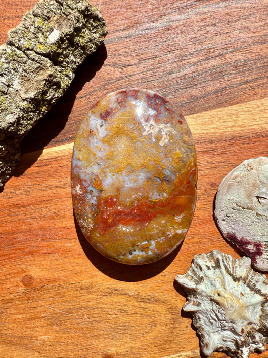 High Quality Agua Nueva Agate Palm Stone | Gift for Crystal Lover | Soothing Crystal | Grounding Crystal | Crystal Gift