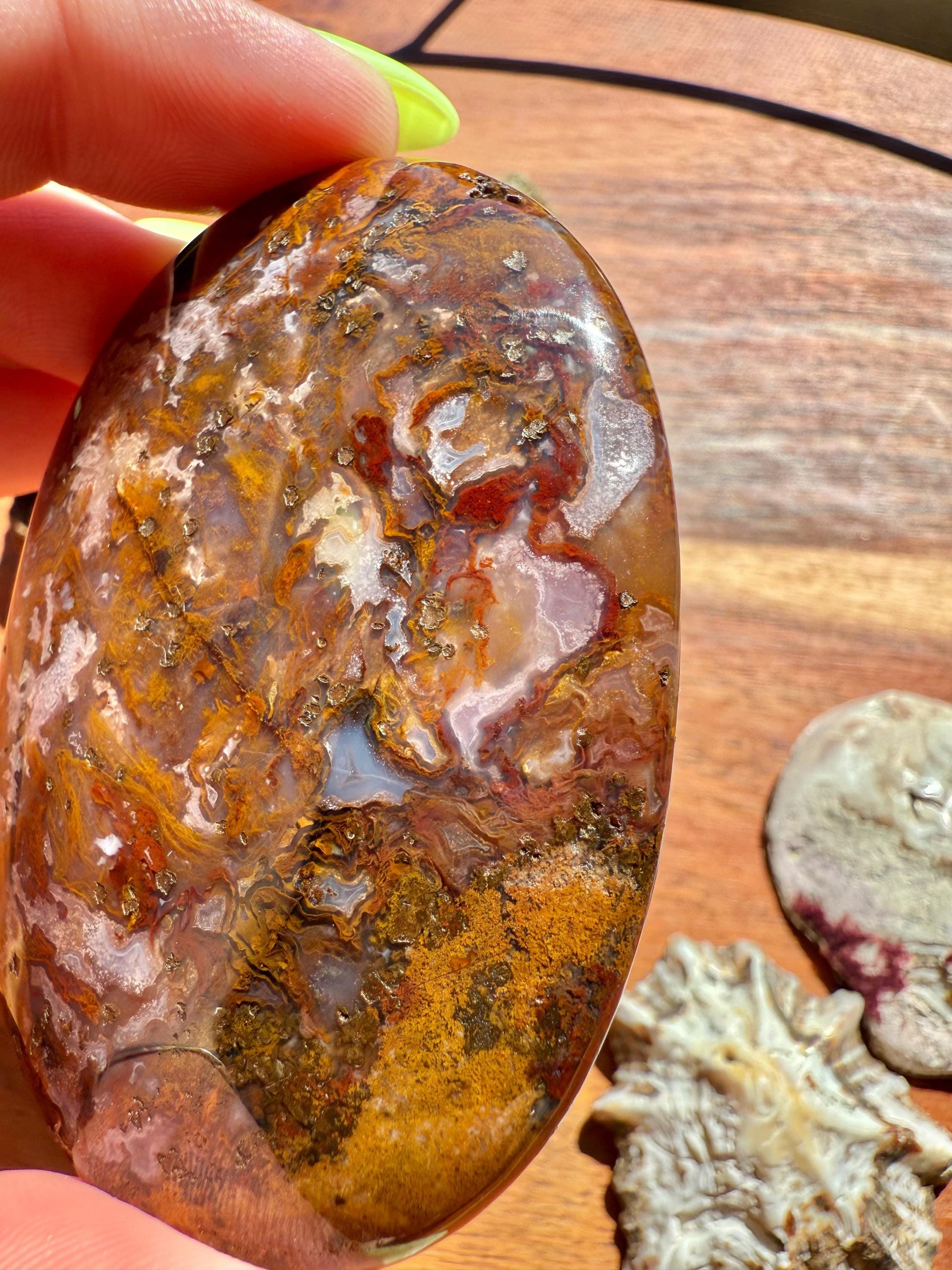 High Quality Agua Nueva Agate Palm Stone | Gift for Crystal Lover | Soothing Crystal | Grounding Crystal | Crystal Gift