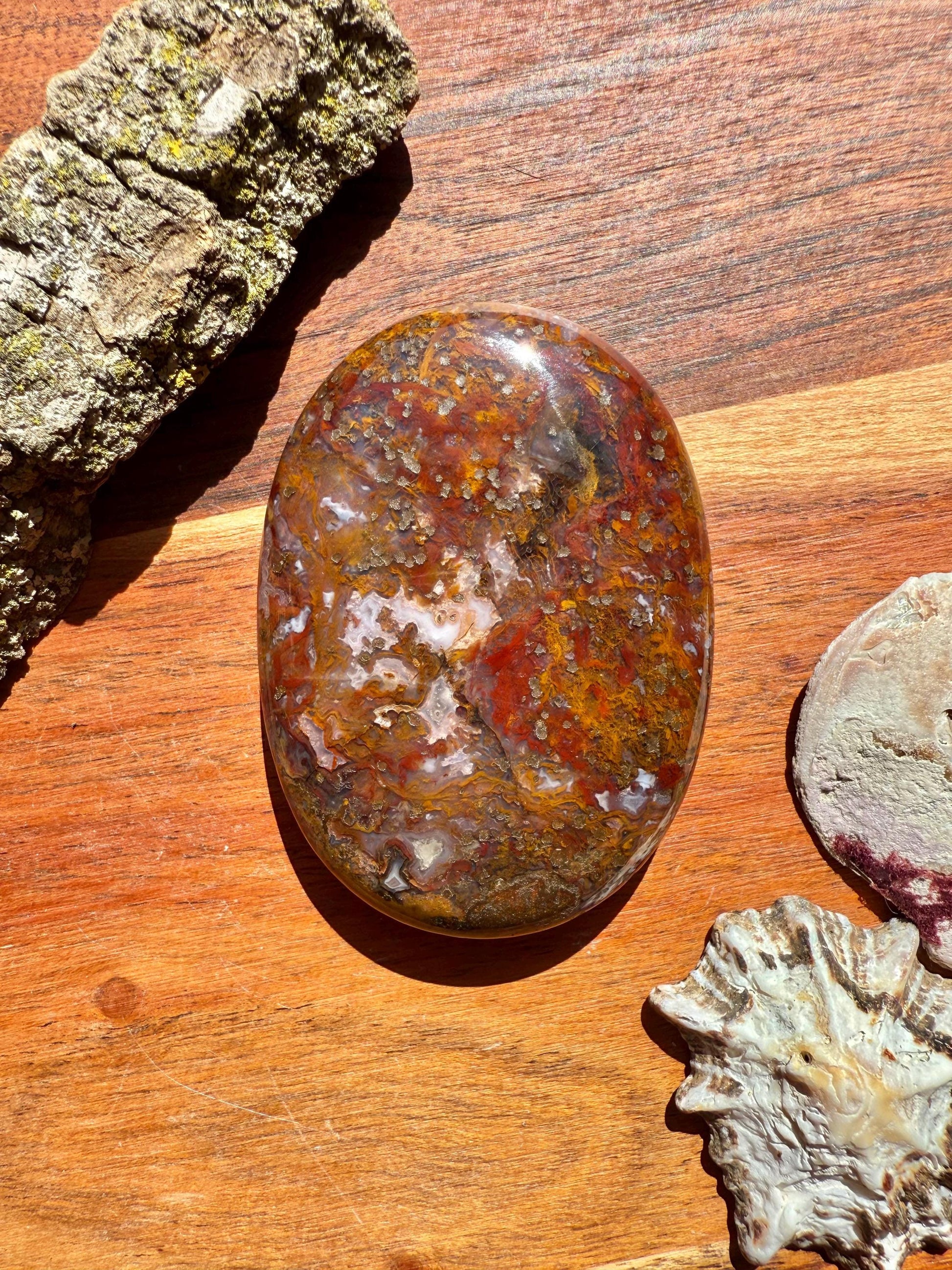 High Quality Agua Nueva Agate Palm Stone | Gift for Crystal Lover | Soothing Crystal | Grounding Crystal | Crystal Gift