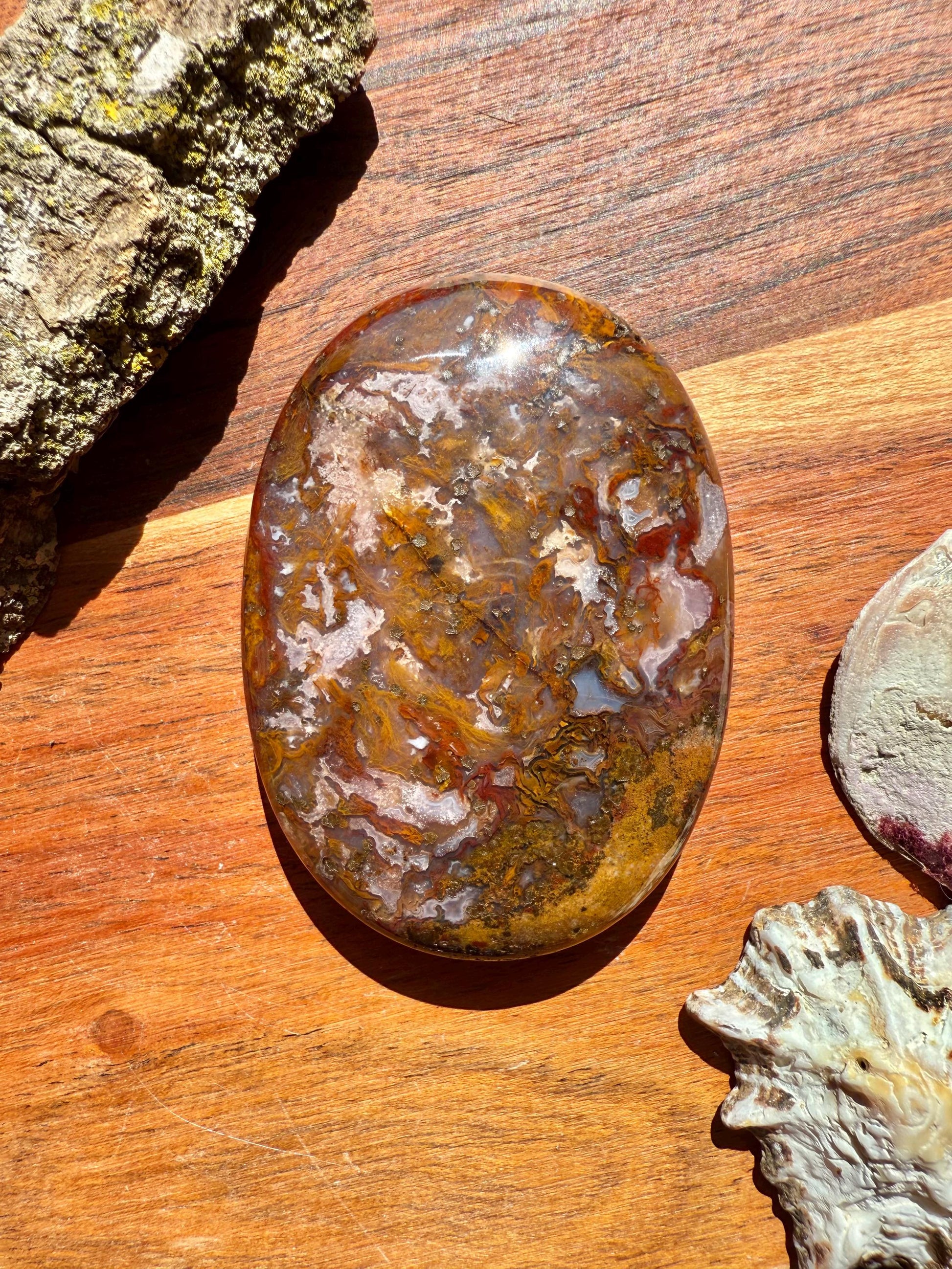 High Quality Agua Nueva Agate Palm Stone | Gift for Crystal Lover | Soothing Crystal | Grounding Crystal | Crystal Gift