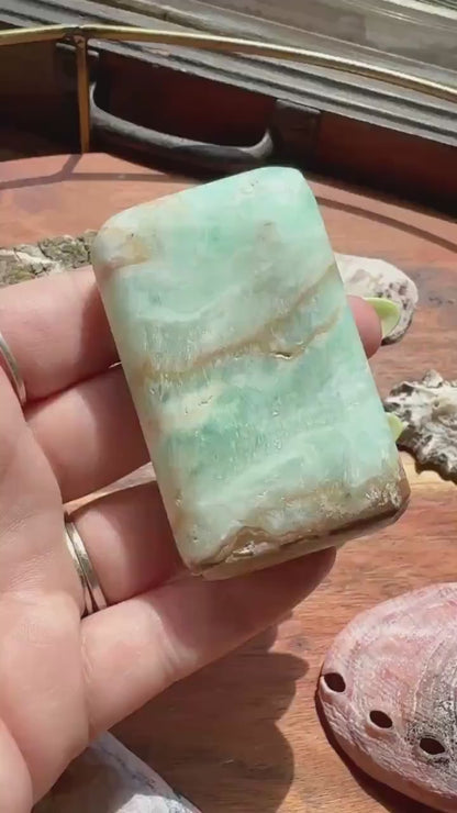 Caribbean Calcite Palm Stone |