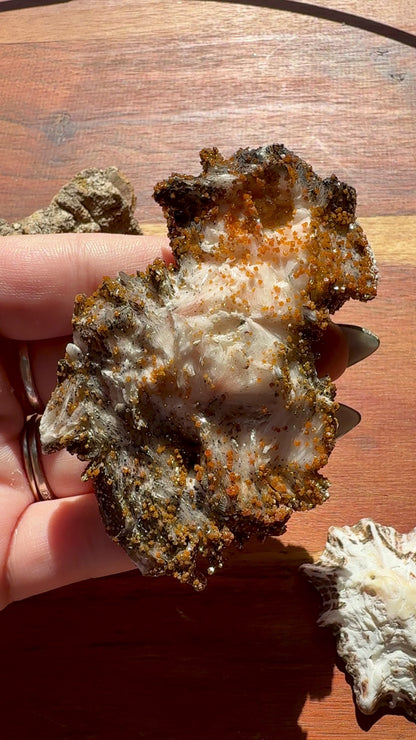 BARITE, MAGANESE + VANADINITE