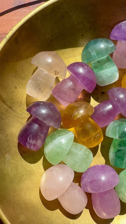 INTUITIVELY CHOSEN CANDY FLUORITE MUSHROOM CARVING [QTY. 1]