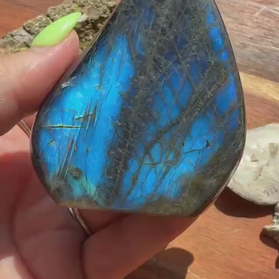 Blue Flash Labradorite Freeform
