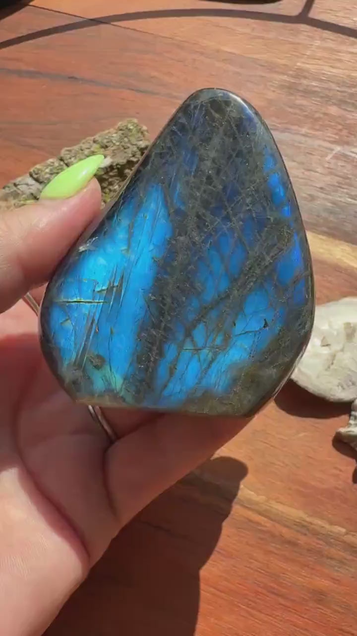 Blue Flash Labradorite Freeform