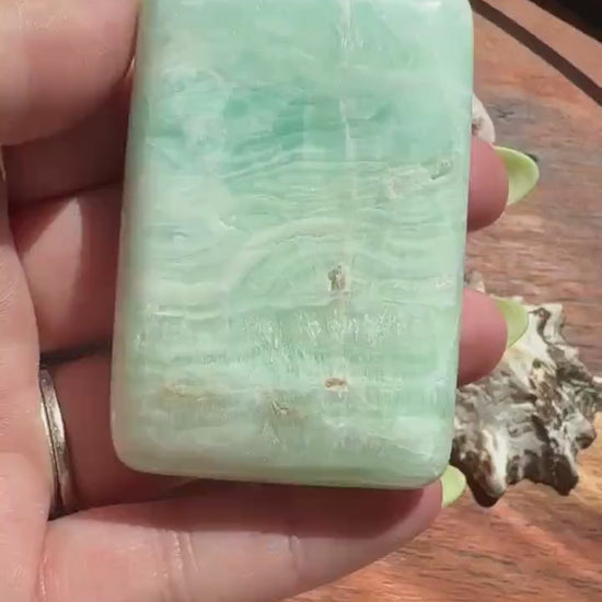 Caribbean Calcite Palm Stone |