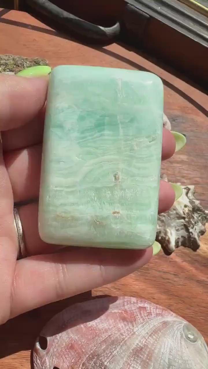 Caribbean Calcite Palm Stone |