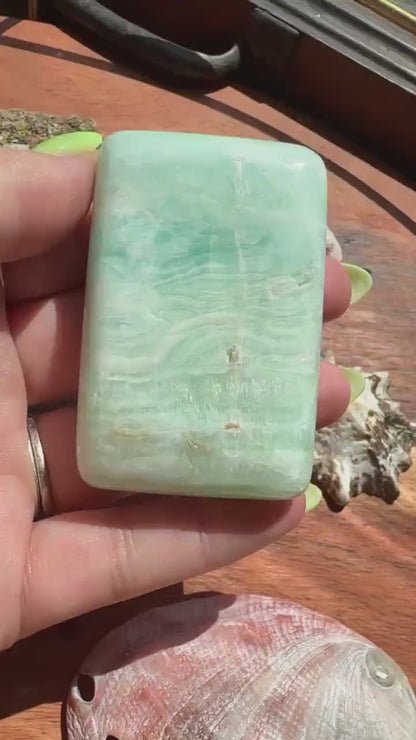 Caribbean Calcite Palm Stone |