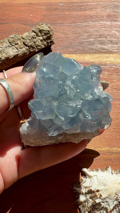 RAW CELESTITE CLUSTER