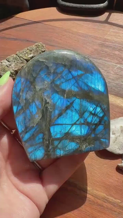 Blue Flash Labradorite Freeform