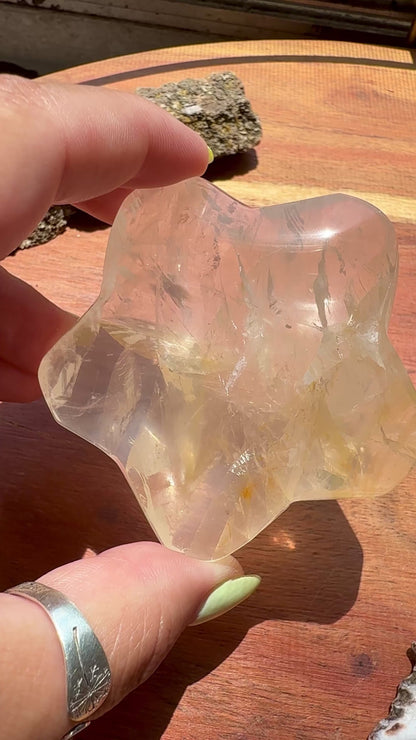 GOLDEN HEALER PUFFY STAR