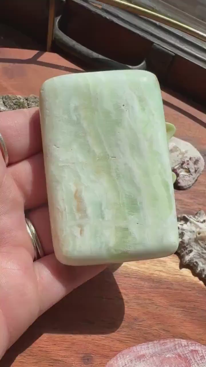 Caribbean Calcite Palm Stone |