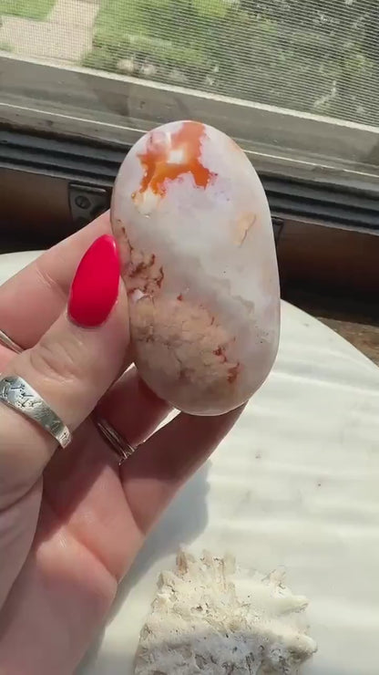 Carnelian Flower Agate Palm Stone