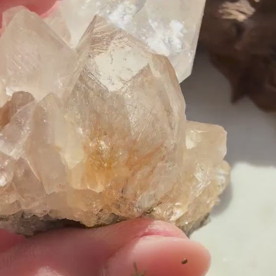 Rare Himalayan Quartz Cluster | Clear Himalayan Quartz with Gold Rutile | Samadhi Quartz | High Quality Himalayan Quartz | Rare Crystal