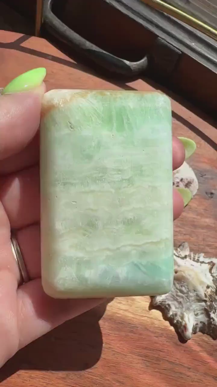 Caribbean Calcite Palm Stone |
